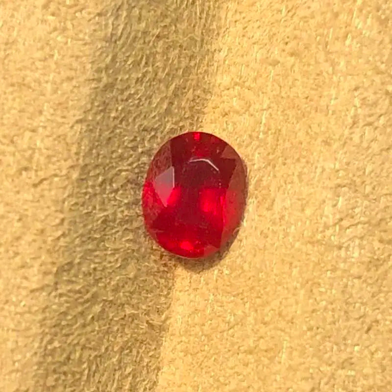 49609385541916
